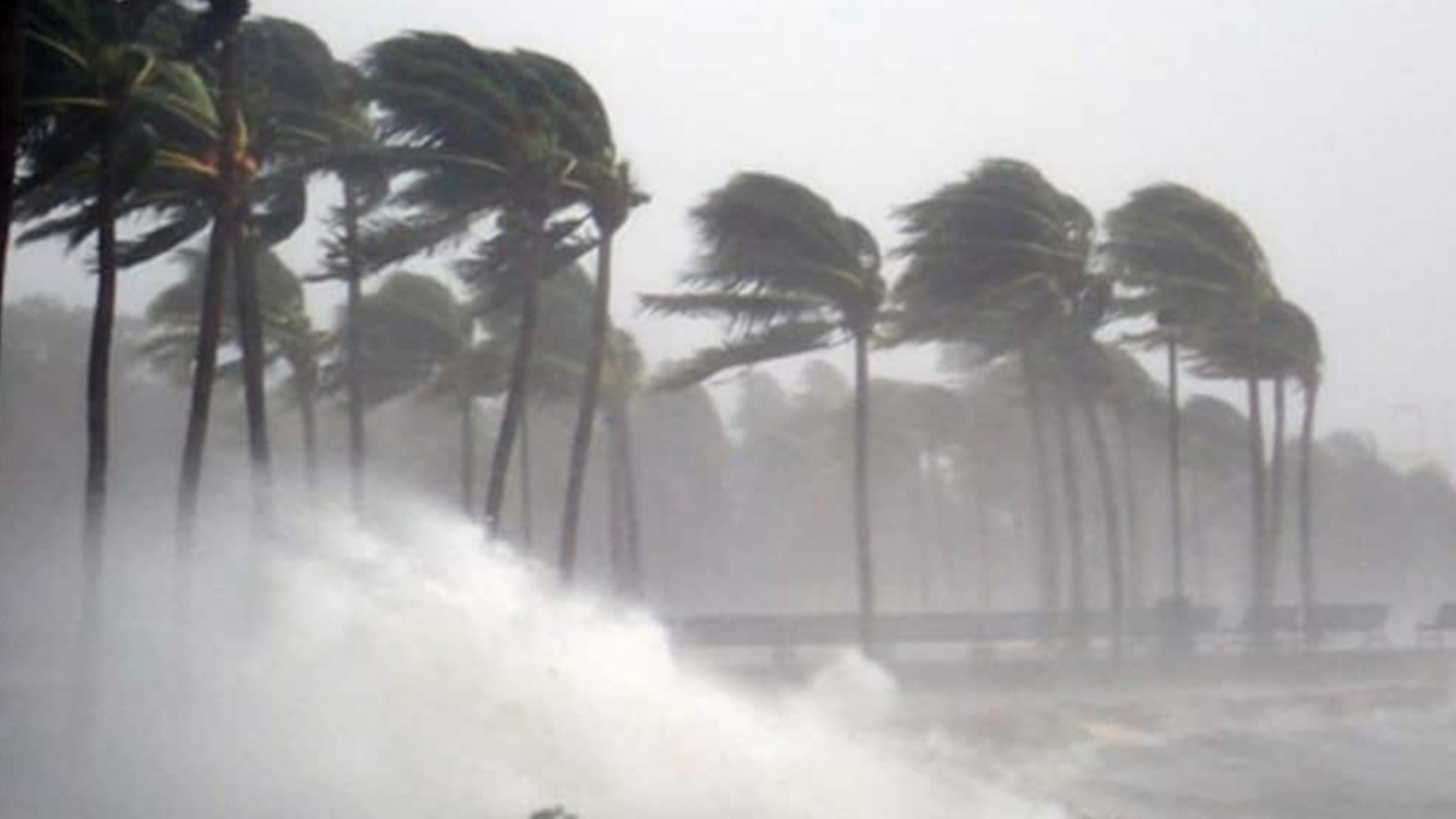 দুপুরের মধ্যে যেসব জেলায় ঝড়বৃষ্টির আভাস